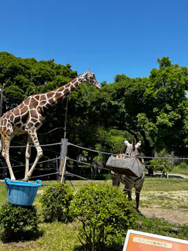 天王寺動物園に投稿された画像（2024/5/11）