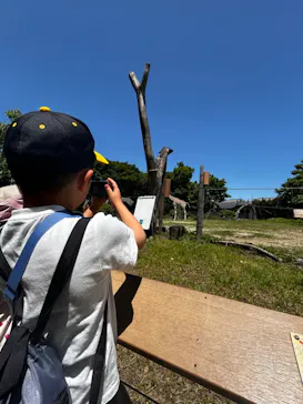 天王寺動物園に投稿された画像（2024/5/11）