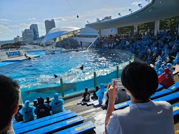 鴨川シーワールドに投稿された画像（2024/5/11）