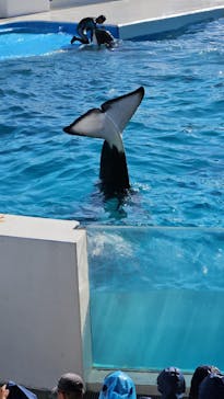 鴨川シーワールドに投稿された画像（2024/5/11）