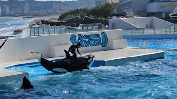 鴨川シーワールドに投稿された画像（2024/5/11）