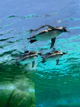 天王寺動物園に投稿された画像（2024/5/11）