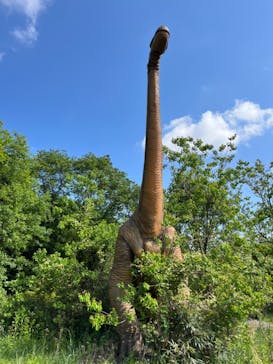 ディノアドベンチャー名古屋に投稿された画像（2024/5/11）