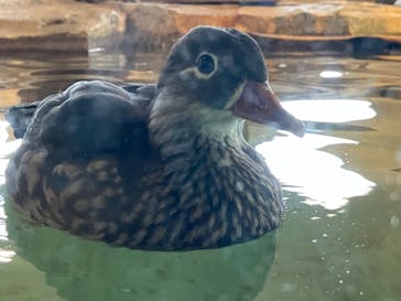 NIFREL（ニフレル）に投稿された画像（2024/5/11）