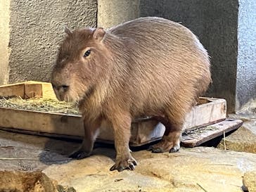 NIFREL（ニフレル）に投稿された画像（2024/5/11）