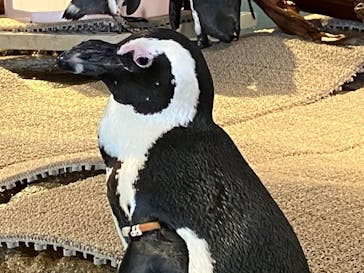 NIFREL（ニフレル）に投稿された画像（2024/5/11）