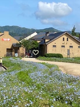 淡路ファームパーク イングランドの丘に投稿された画像（2024/5/11）