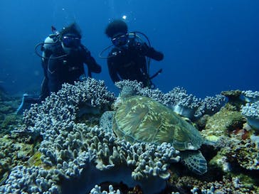 マリンショップtaitaiに投稿された画像（2024/5/11）