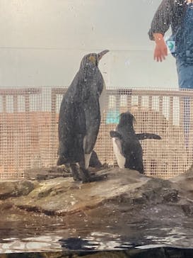 マクセル アクアパーク品川に投稿された画像（2024/5/11）