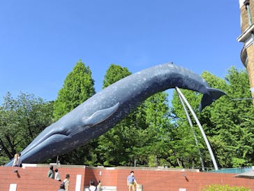 国立科学博物館に投稿された画像（2024/5/11）