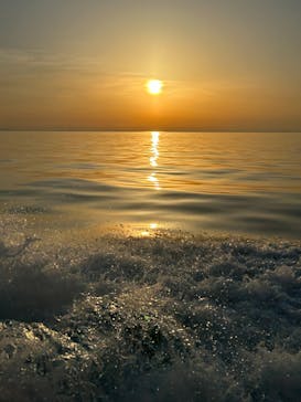 釣り船まるかつに投稿された画像（2024/5/11）