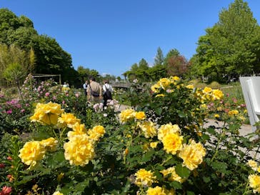 浜名湖花博2024に投稿された画像（2024/5/11）