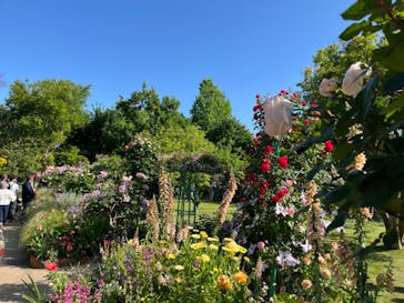 浜名湖花博2024に投稿された画像（2024/5/11）