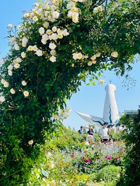 万博記念公園に投稿された画像（2024/5/11）