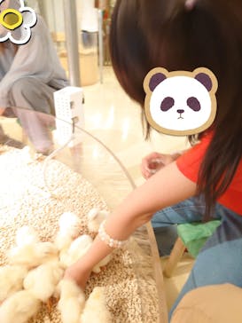 Moff animal cafe イオンモール幕張新都心店に投稿された画像（2024/5/11）