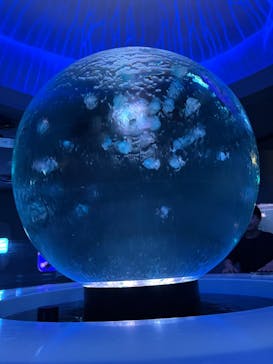 新江ノ島水族館に投稿された画像（2024/5/11）