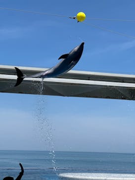上越市立水族博物館 うみがたりに投稿された画像（2024/5/11）