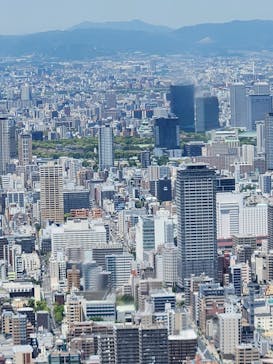 ハルカス300(展望台)に投稿された画像（2024/5/11）