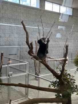 淡路ファームパーク イングランドの丘に投稿された画像（2024/5/11）