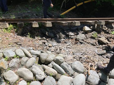 大井川鐵道株式会社に投稿された画像（2024/5/11）