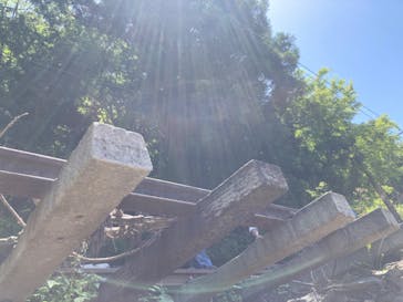 大井川鐵道株式会社に投稿された画像（2024/5/11）