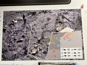 福井県立恐竜博物館に投稿された画像（2024/5/11）