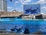 名古屋港水族館に投稿された画像（2024/5/11）