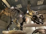 国立科学博物館に投稿された画像（2024/5/11）