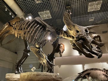 国立科学博物館に投稿された画像（2024/5/11）