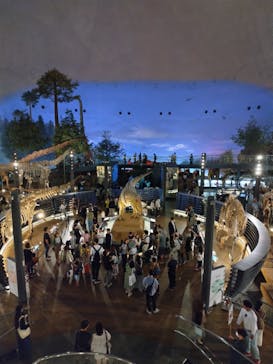 福井県立恐竜博物館に投稿された画像（2024/5/11）