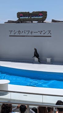 鴨川シーワールドに投稿された画像（2024/5/11）