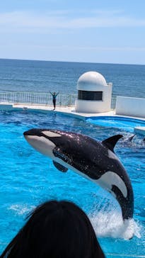 鴨川シーワールドに投稿された画像（2024/5/11）