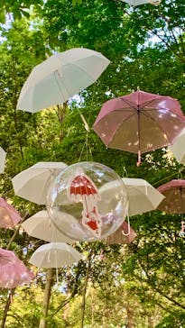 ムーミンバレーパークに投稿された画像（2024/5/11）