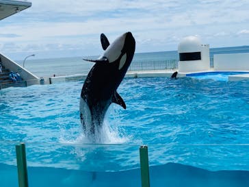 鴨川シーワールドに投稿された画像（2024/5/10）