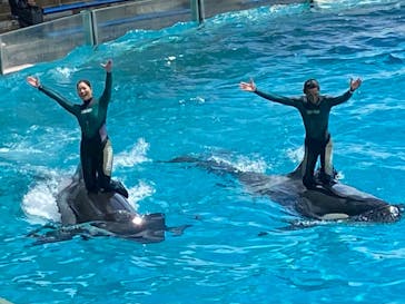 鴨川シーワールドに投稿された画像（2024/5/10）