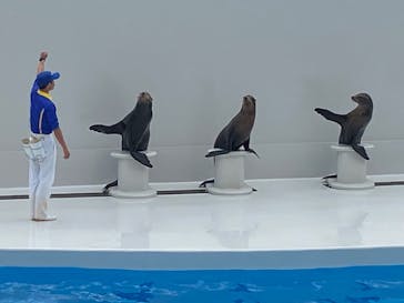 鴨川シーワールドに投稿された画像（2024/5/10）