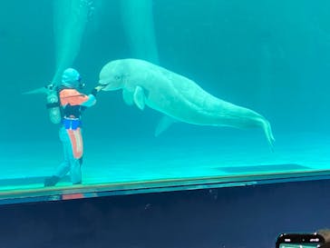 鴨川シーワールドに投稿された画像（2024/5/10）