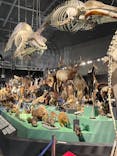 特別展「大哺乳類展３－わけてつなげて大行進」に投稿された画像（2024/5/12）