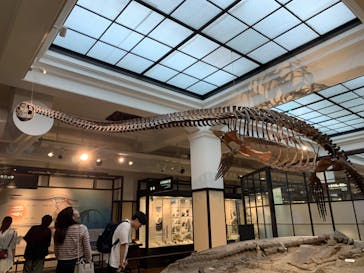 国立科学博物館に投稿された画像（2024/5/11）