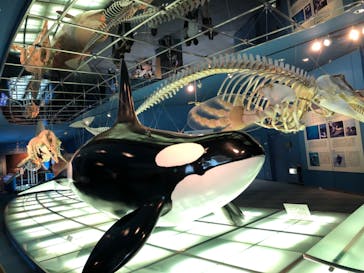 名古屋港水族館に投稿された画像（2024/5/11）