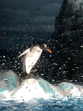 名古屋港水族館に投稿された画像（2024/5/11）