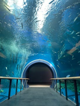 滋賀県立琵琶湖博物館に投稿された画像（2024/5/11）