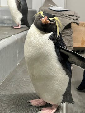 AOAO SAPPOROに投稿された画像（2024/5/11）