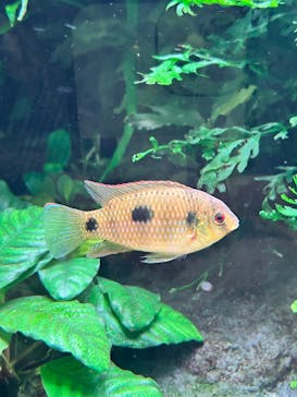 AOAO SAPPOROに投稿された画像（2024/5/11）