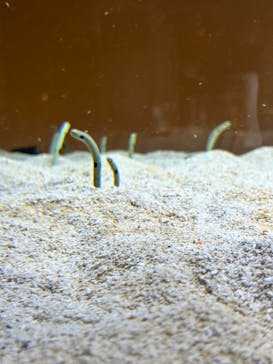 AOAO SAPPOROに投稿された画像（2024/5/11）