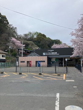 東京サマーランドに投稿された画像（2024/5/11）