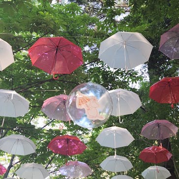 ムーミンバレーパークに投稿された画像（2024/5/11）