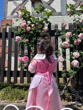 野外民族博物館 リトルワールドに投稿された画像（2024/5/11）