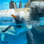 鴨川シーワールドに投稿された画像（2024/5/12）