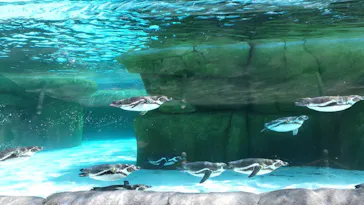 天王寺動物園に投稿された画像（2024/5/12）